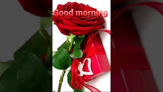 #short Good morning status WhatsApp background gif video screenshot 3