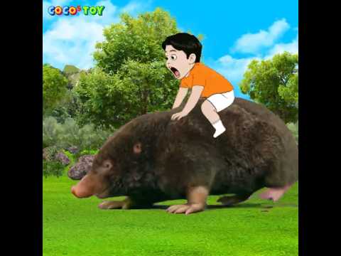 I'm with the mole this time. New quiz Coming soon!! #shortsㅣCoCosToy