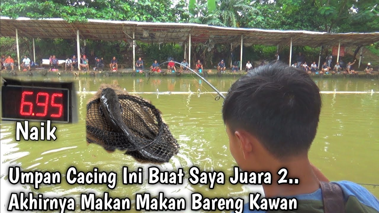 Racikan Cacing Jitu Induk Total, Tes Langsung Juara 2 Mantap....