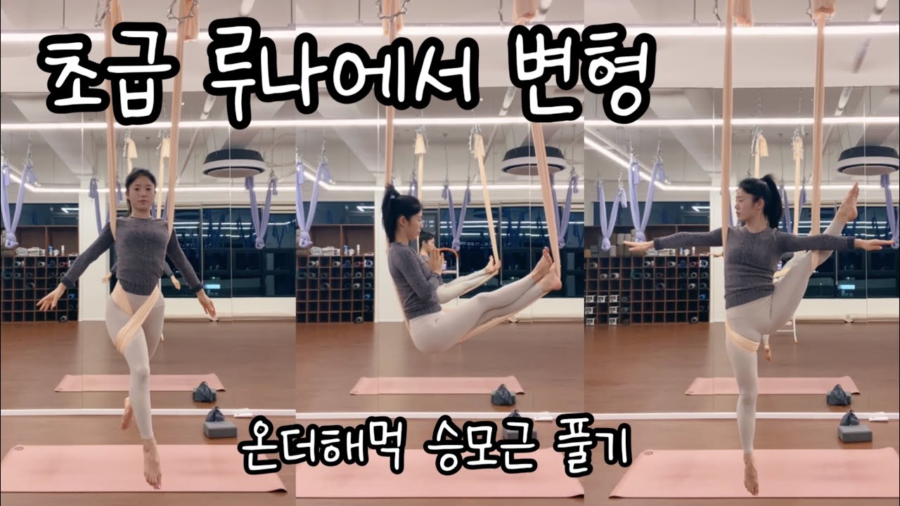 플라잉요가 초급 시퀀스 재미있고 시원해 😝