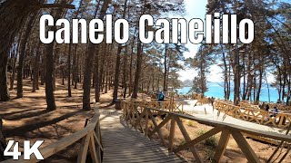 Playa Canelo Canelillo, Algarrobo