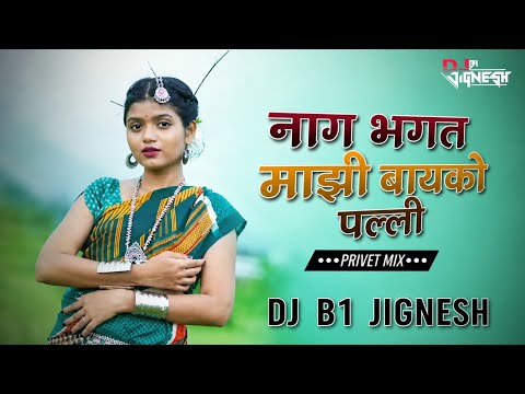 Nag Bhagat Mazi BAYKO Palii | Privet Mix | DJ B1 JIGNESH