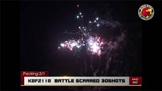 Details 4 KBF2118 wmv Update