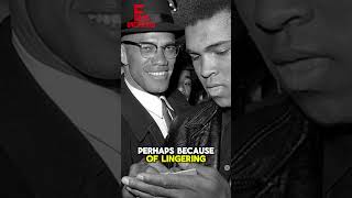 Celebrity The Betrayal That Broke Bumpy Johnson Net Worth