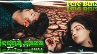 #babifreitas ā¢|ā¢Tere bina jeena saza ho gaya #song Dil Dil | Saja Ho Gaya #viral #viralvideo #video