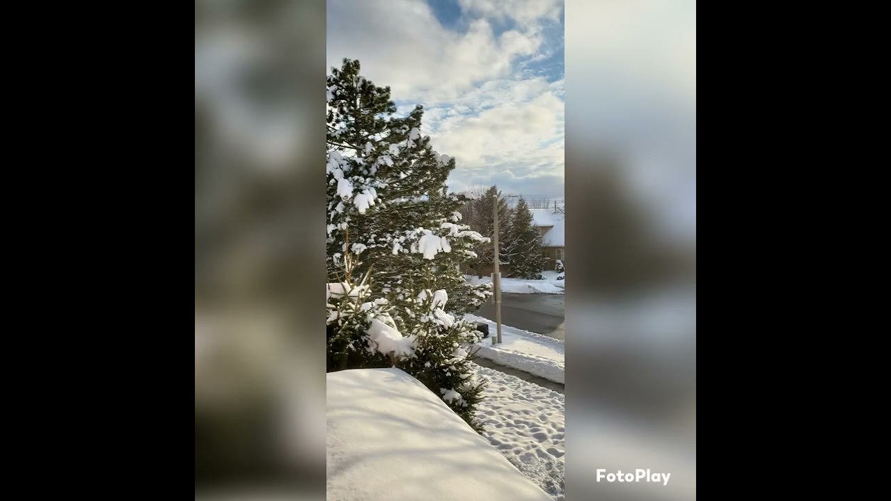 My magic window3 ❤️🎶❤️January 29, 2023 