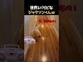 パリピすぎるオウムたちが面白すぎるw