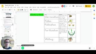 Plant Life Cycle   Google Slides