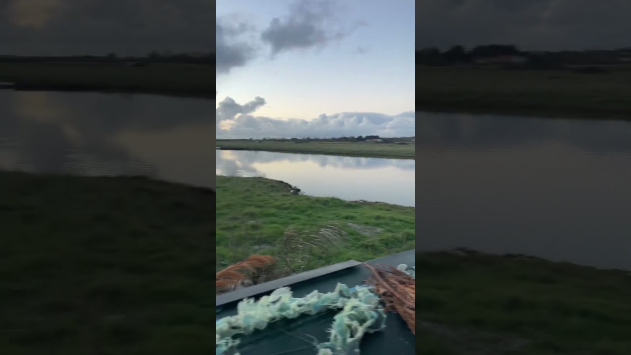 La chasse au marais !