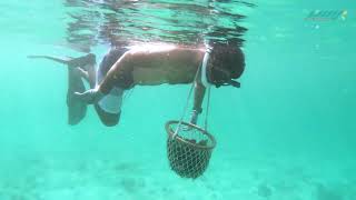 Rasen Sports  Pearl Diving In Qatar