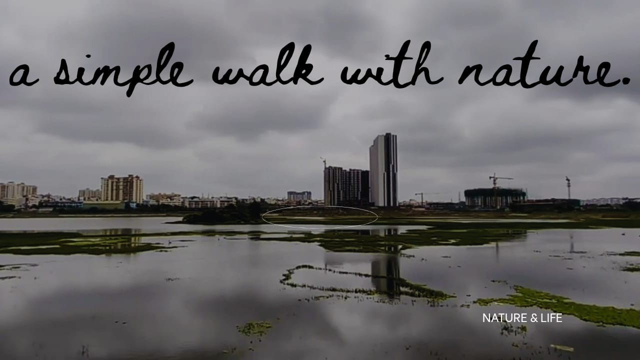 Relaxing walk with nature  