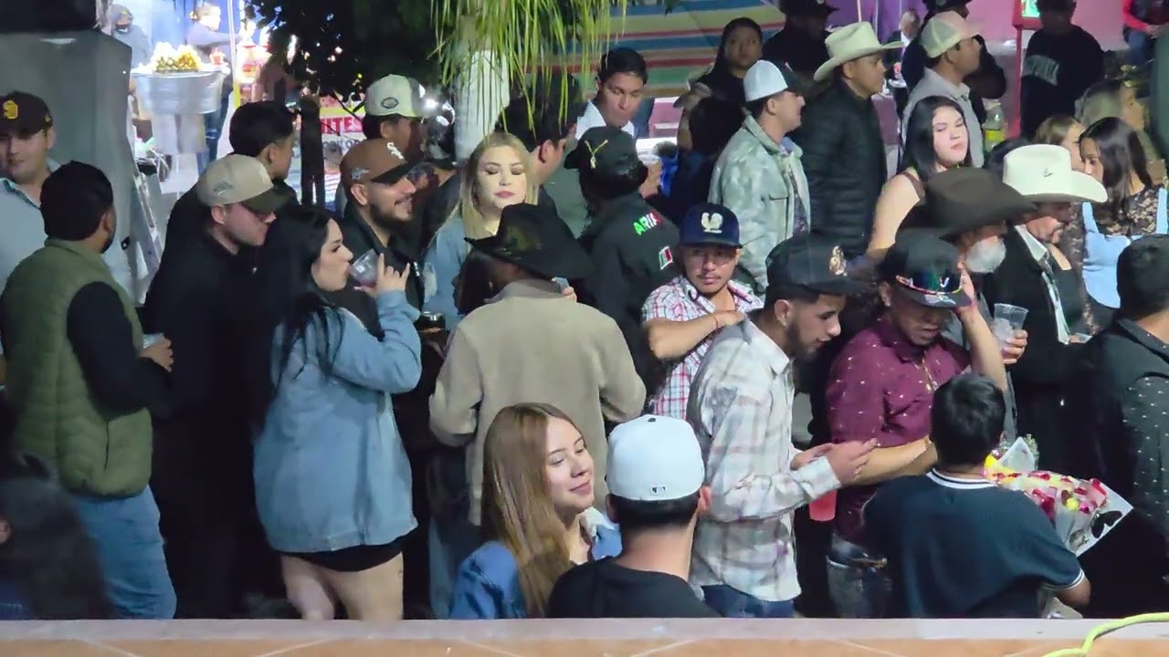 XV Diana Pt 2 los guajes Michoacan Dec. 2025