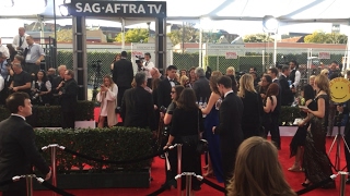 SAG Awards 2017 Red Carpet Highlights