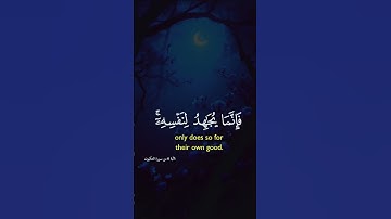 القرآن الكريم