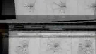 Dawkins: Lecture 2. Design and Designoid Objects (5 of 6) Net Worth