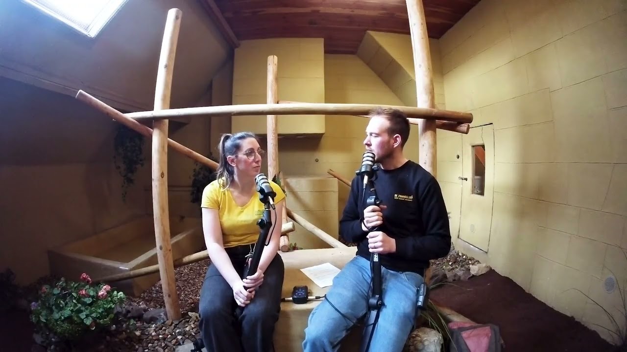 Een nieuw verblijf voor Tijgerpython Pinta