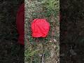Survival Skills: Useful and Clever#survival#campfire#bushcraft#outdoors