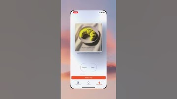 The longer you use mymind, the more magical this feature becomes ✨