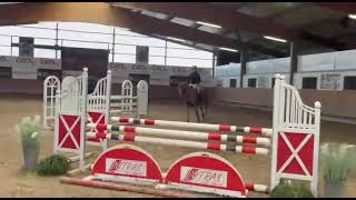 GHT 27-10-26 - L'Excalibur de Reve - gelding - 2021 by HOKKAIDO DE MENJO