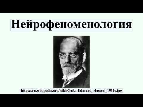 Нейрофеноменология
