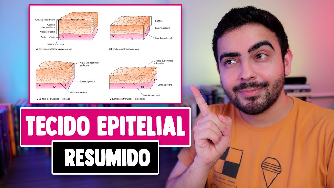 Tecido Epitelial Resumido │ HISTOLOGIA RESUMIDA