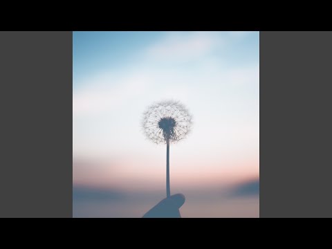 Never Never - Kina Grannis