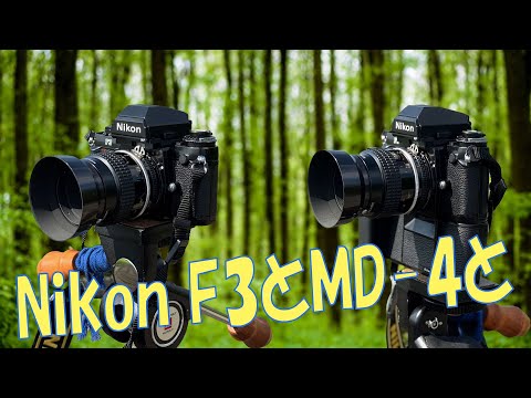 腰痛持ちの店長NikonF3HPとモータードライブ 腰痛持ちの店長様専用NikonF3HPとモータードライブ - メルカリ