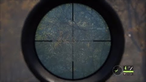 theHunter Call of the Wild Scope Glitch