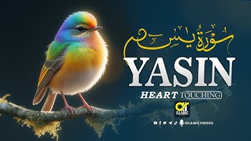 Surah Yasin (Yaseen) سورة يس | Beautiful voice heart touching | EP -193 | islamicvideos.a.r