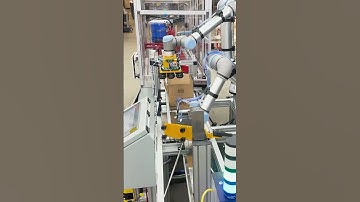Form, Pack, Palletize with Cobots