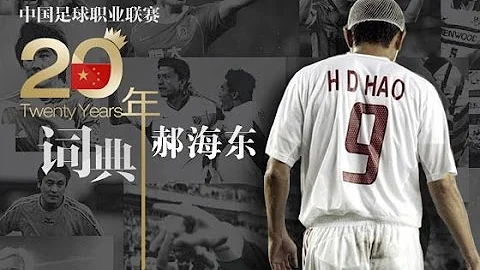 《中国足球20年大事记》 亚洲第一前锋 郝海东 Hao The Best Striker EP.1/30 Memorabilia Of Chinese Football 1994 - 2013 - 天天要闻