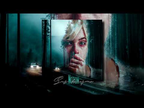 Noton — Sus Danışma