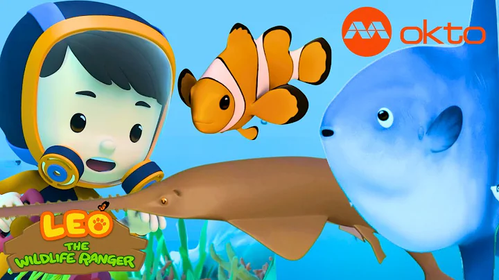 JUNIOR RANGERS ANIMAL RESCUE COMPILATION 🦁🐬🌊 | Leo Compilation | @mediacorpokto