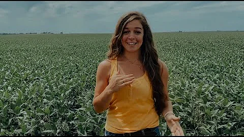 Intro to me - Erin Holbert!