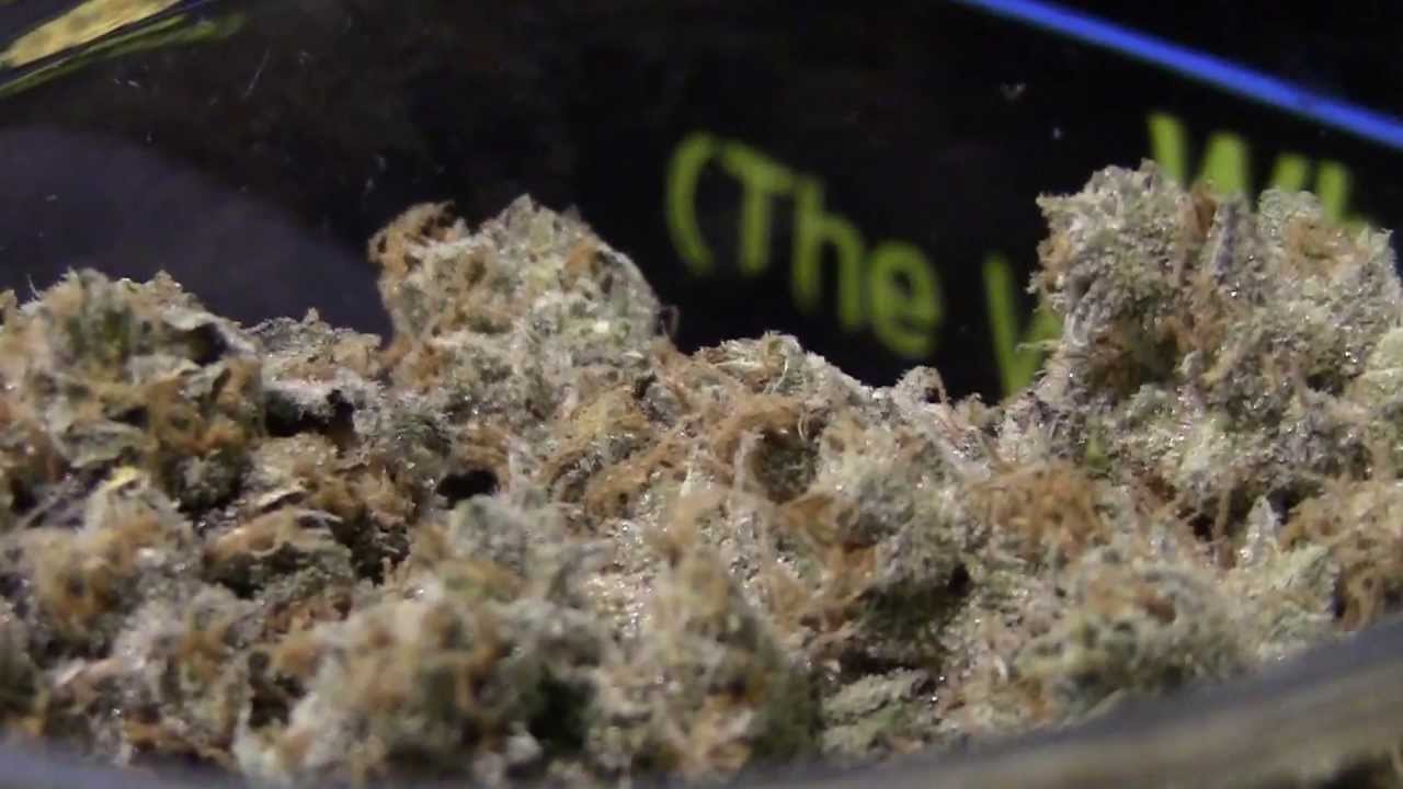 FoxStreet Wellness Booth -Cannabis Cup 2013