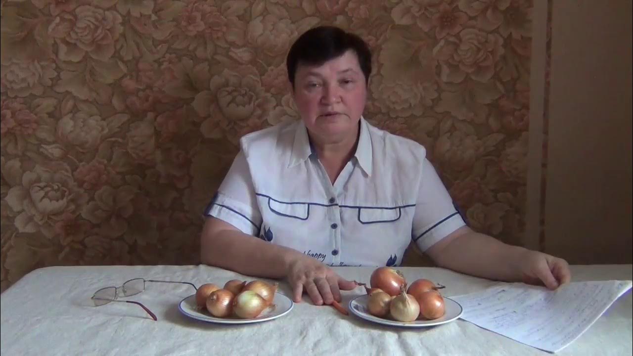 Лук Шалот- ответы на вопросы - YouTube
