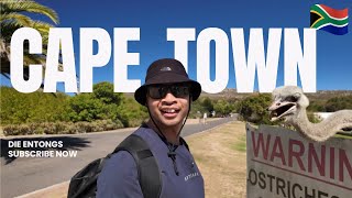 Cape Point Ostrich Farm &amp; Table Mountain | Kaapstad 🇿🇦