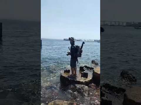Miniatura do vídeo: Pescaria em Niterói ao vivo