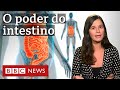 Da imunidade à mente: a importância dos micróbios intestinais