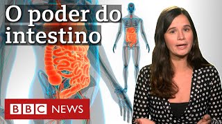 Da imunidade à mente: a importância dos micróbios intestinais