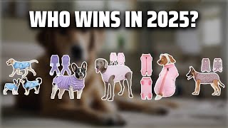 The Top 5 Best Dog Surgical Onesie in 2025 - Must Watch Before Buying