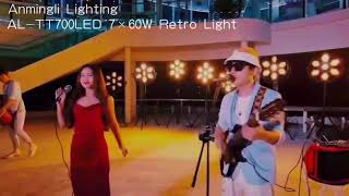 LED Retro Vintage Blinder Lamp Light | Anmingli Lighting |AL-TT700LED 7Γ60W LED