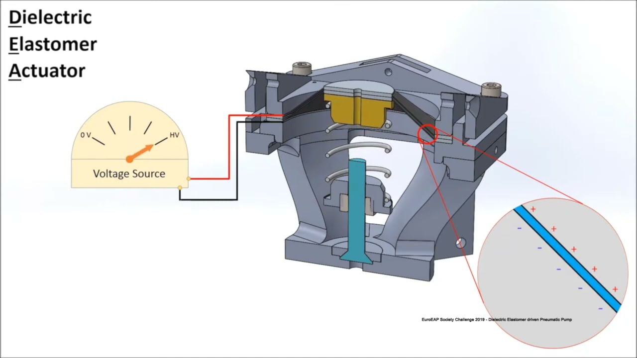 Team 15 Dielectric Elastomer Pump! YouTube