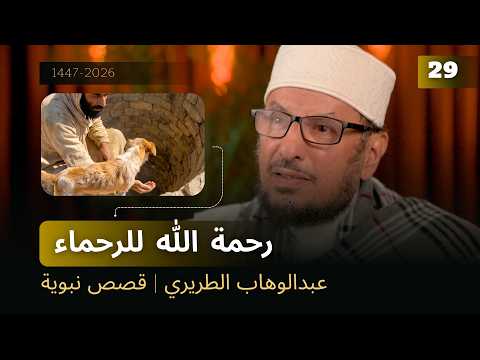 رحمة الله للرحماء | عبدالوهاب الطريري | قصص نبوية 29