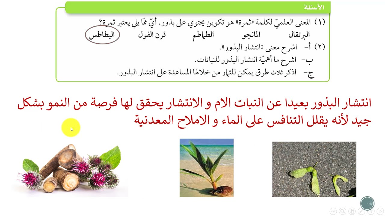 الثمار|علوم الصف السابع|قناة المعلم المبدع