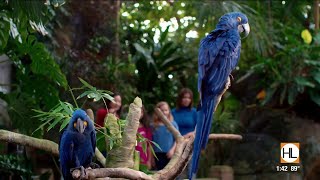 What to know before you go to Moody Gardens this summer | HOUSTON LIFE | KPRC 2