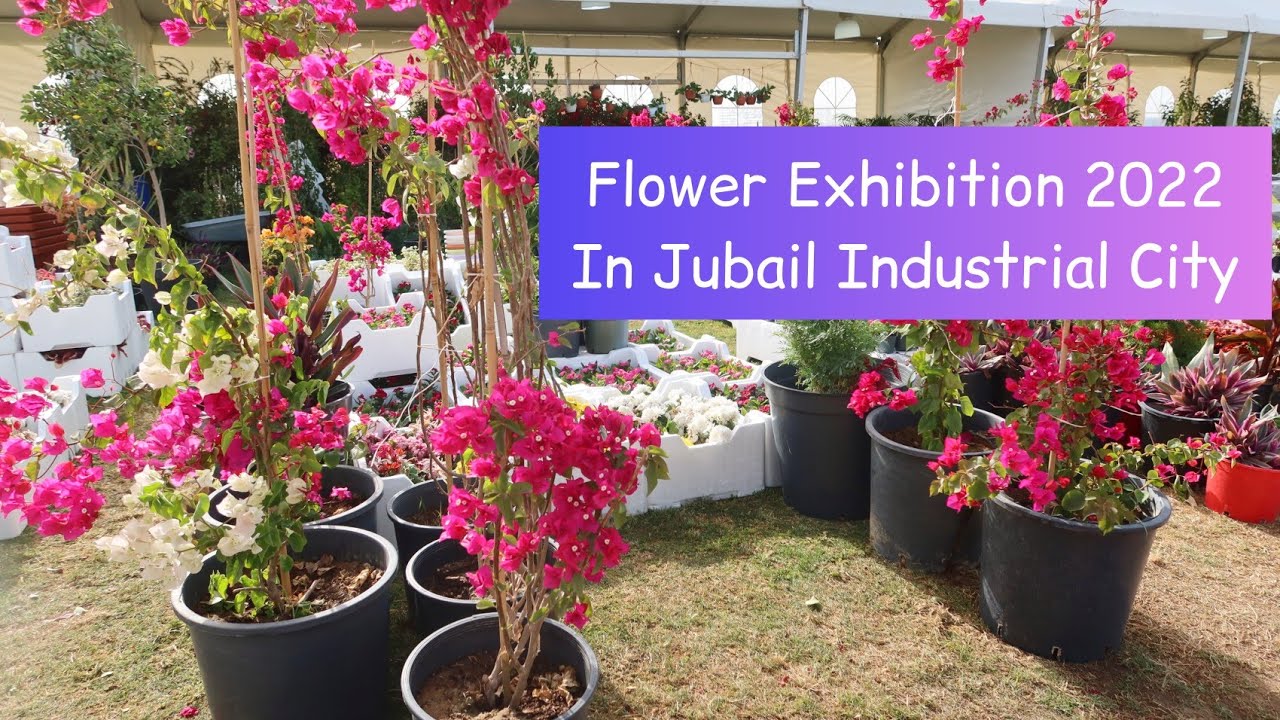 Flower Exhibition 2022 in Jubail Industrial City YouTube