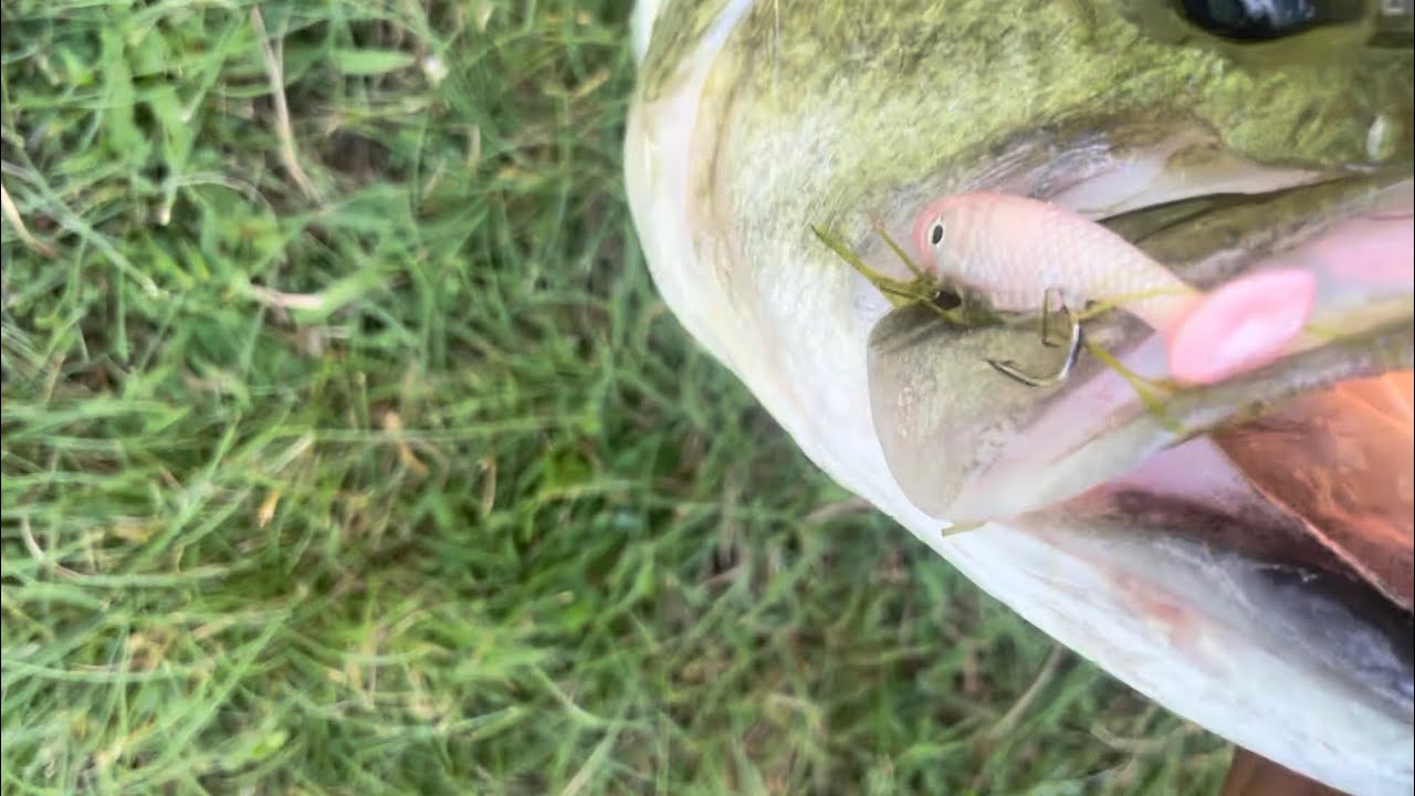 Fishing for BIG BASS at Golf Courses in Maryland!!