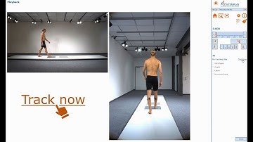 2D Markerless Tracking: Gait  – Analysis Workflow // CONTEMPLAS MULTI CAMERA SYSTEM®