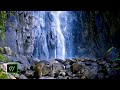 Relaxing Falls Ambience Sounds 10hours（Nachi falls Sounds）for Sleeping, Studying &amp; Relaxation